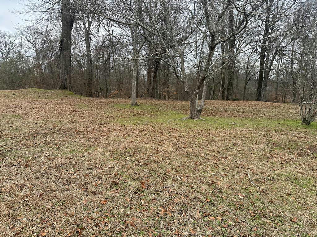 0 RIDGELAWN, VICKSBURG, MS 39183, photo 1 of 2